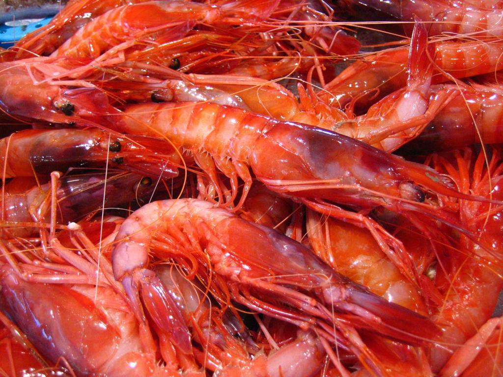 Casa Marinera En Palamos别墅 外观 照片